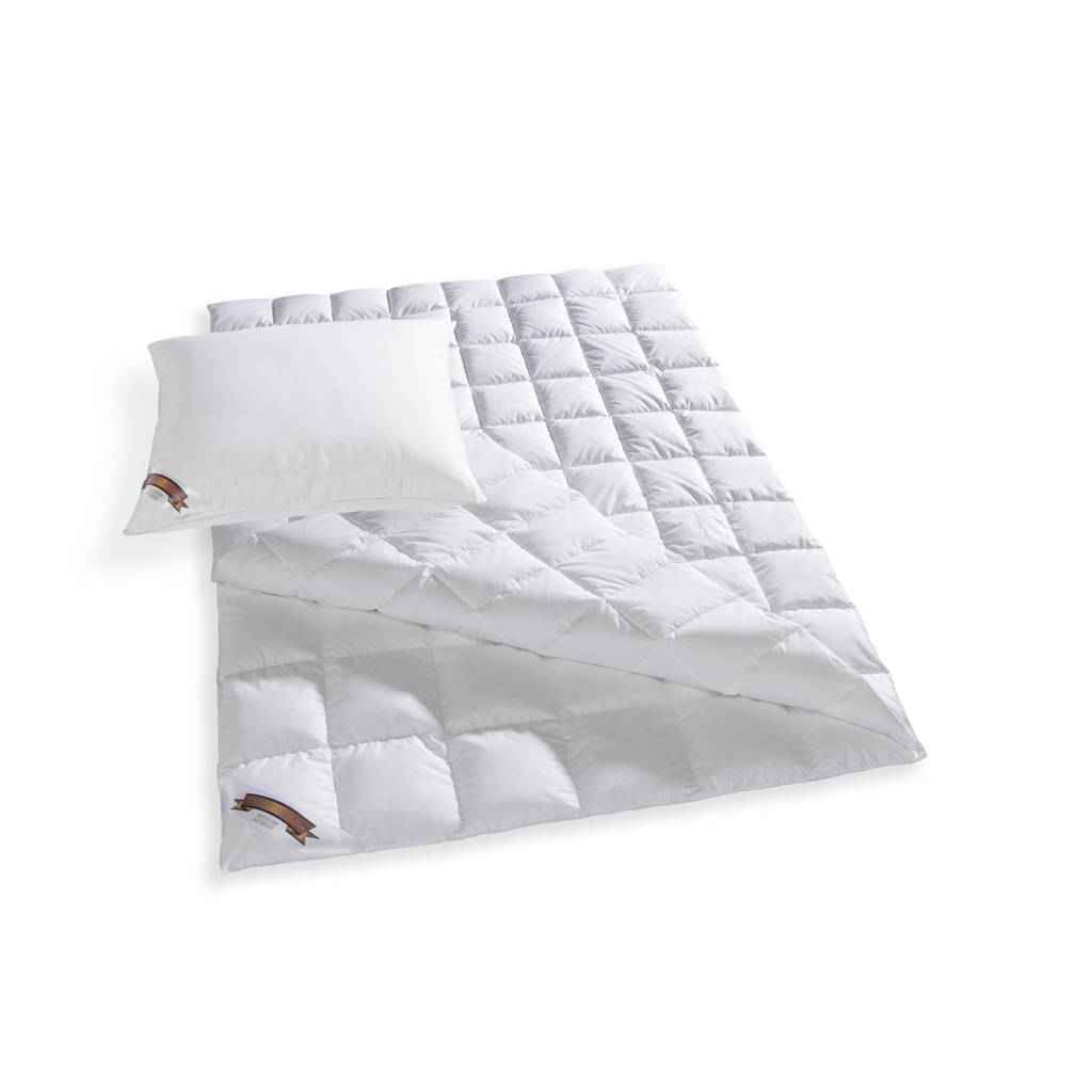 DPB Daunendecken "Aster" Duett Garnitur