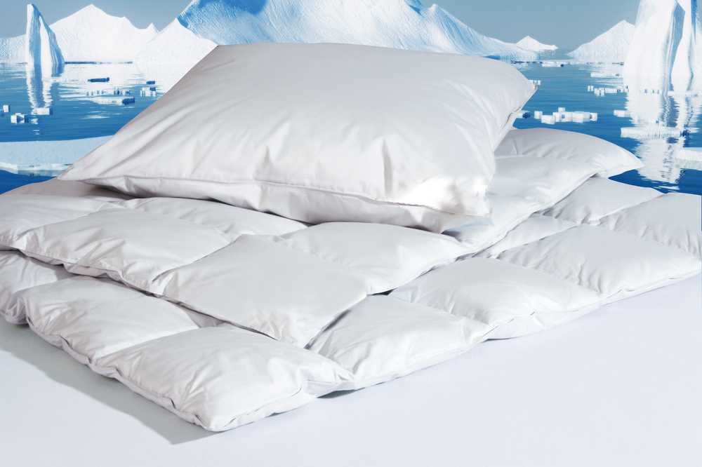 Centa-Star eiderdaunenartige Daunendecke "Golf von Alaska"